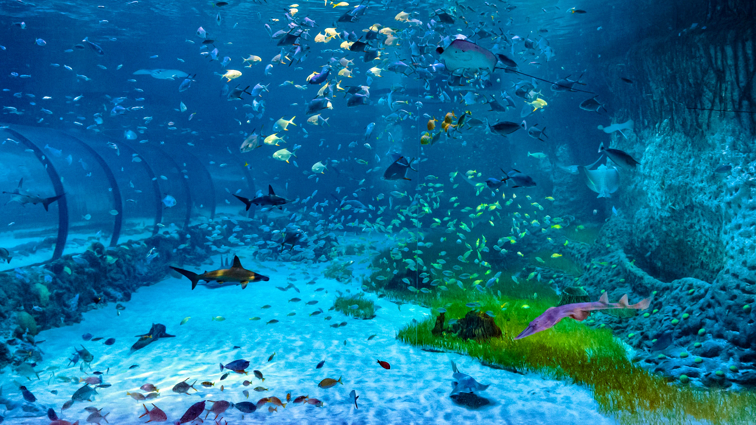 Scuba Diving in Abu Dhabi - National Aquarium  Location