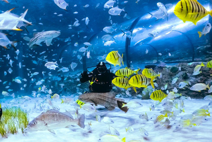 Scuba Diving in Abu Dhabi - National Aquarium  Ticket