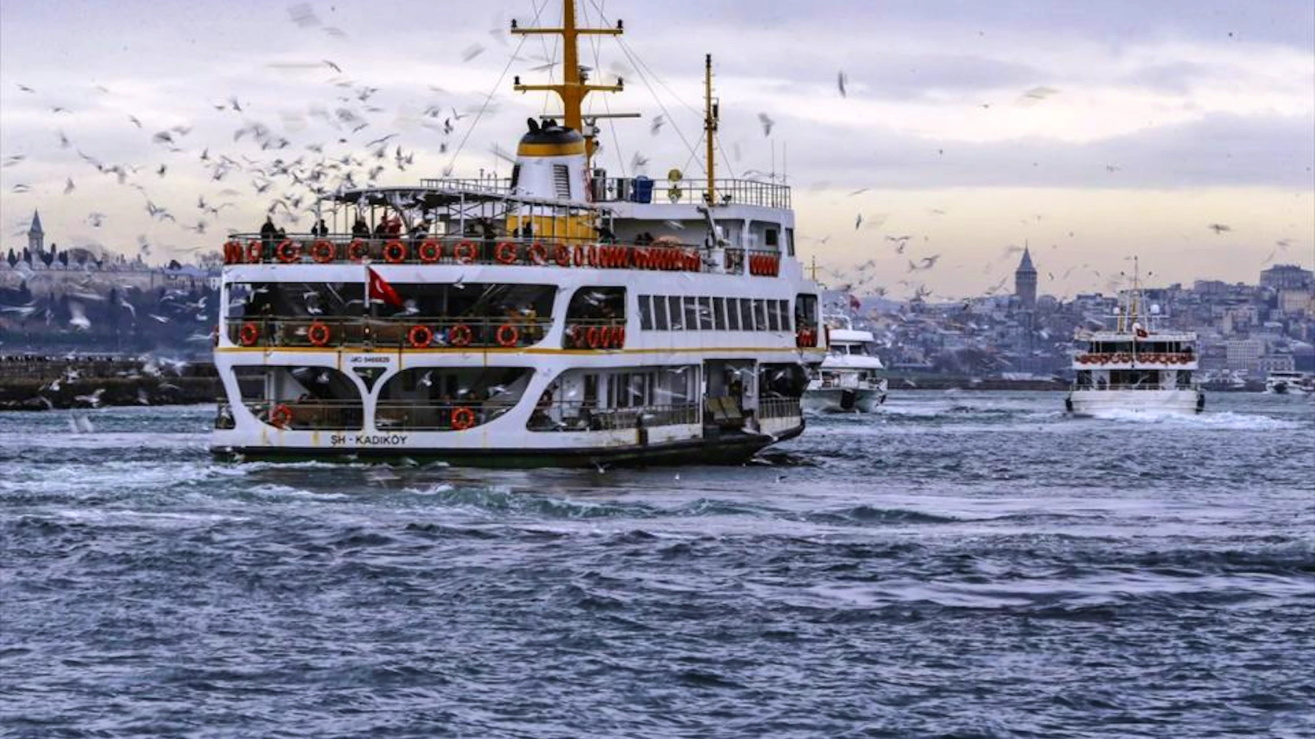 Istanbul: Private Layover Tour from Istanbul Airport & Hotels Price