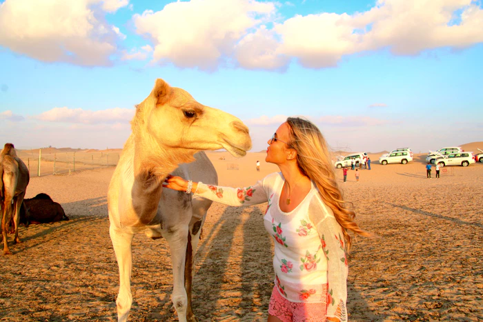 Camel Desert Safari Discount