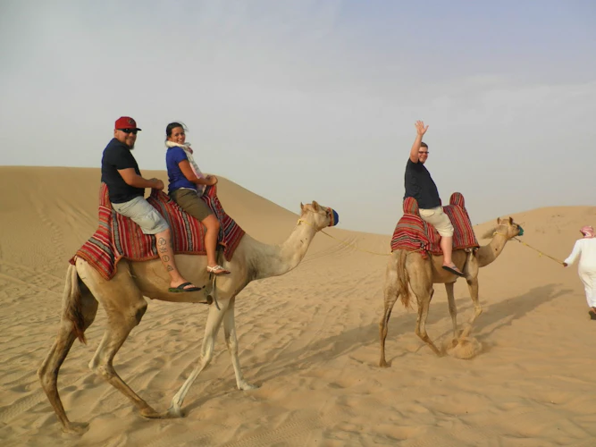 Camel Desert Safari Location