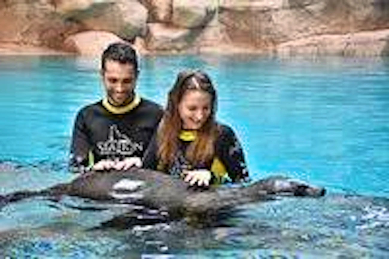 Atlantis Sea Lion Meet & Greet: Non-OTA Ticket