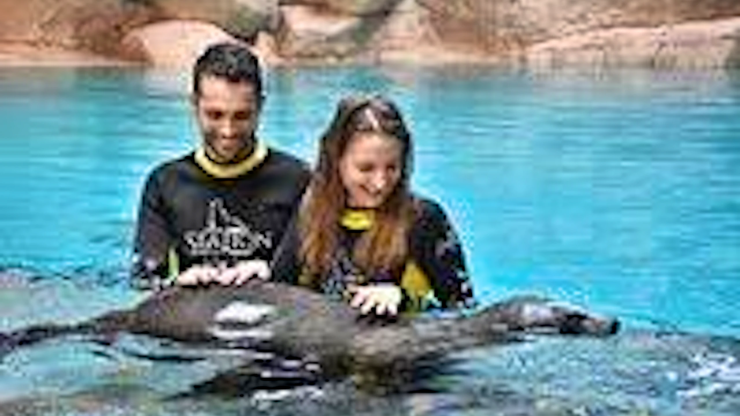 Atlantis Sea Lion Meet & Greet: Non-OTA Ticket