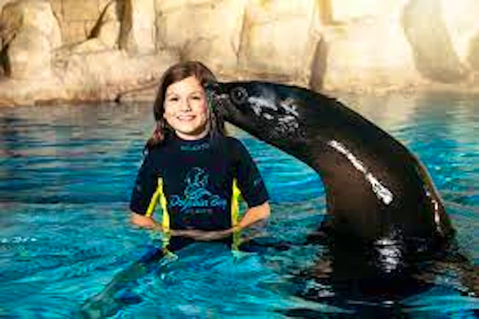 Atlantis Sea Lion Meet & Greet: Non-OTA Location