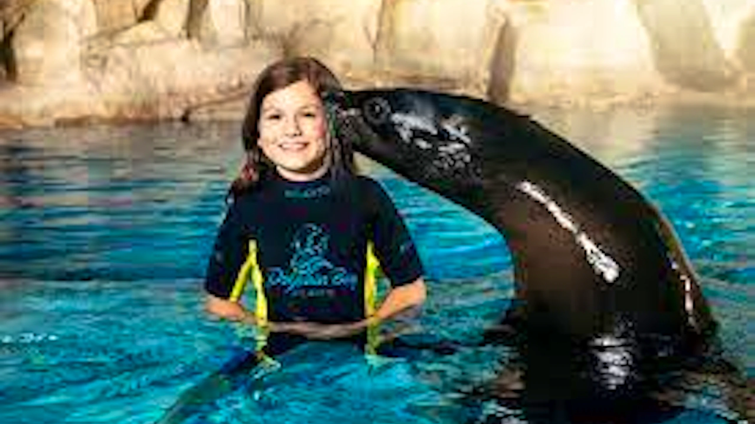 Atlantis Sea Lion Meet & Greet: Non-OTA Location