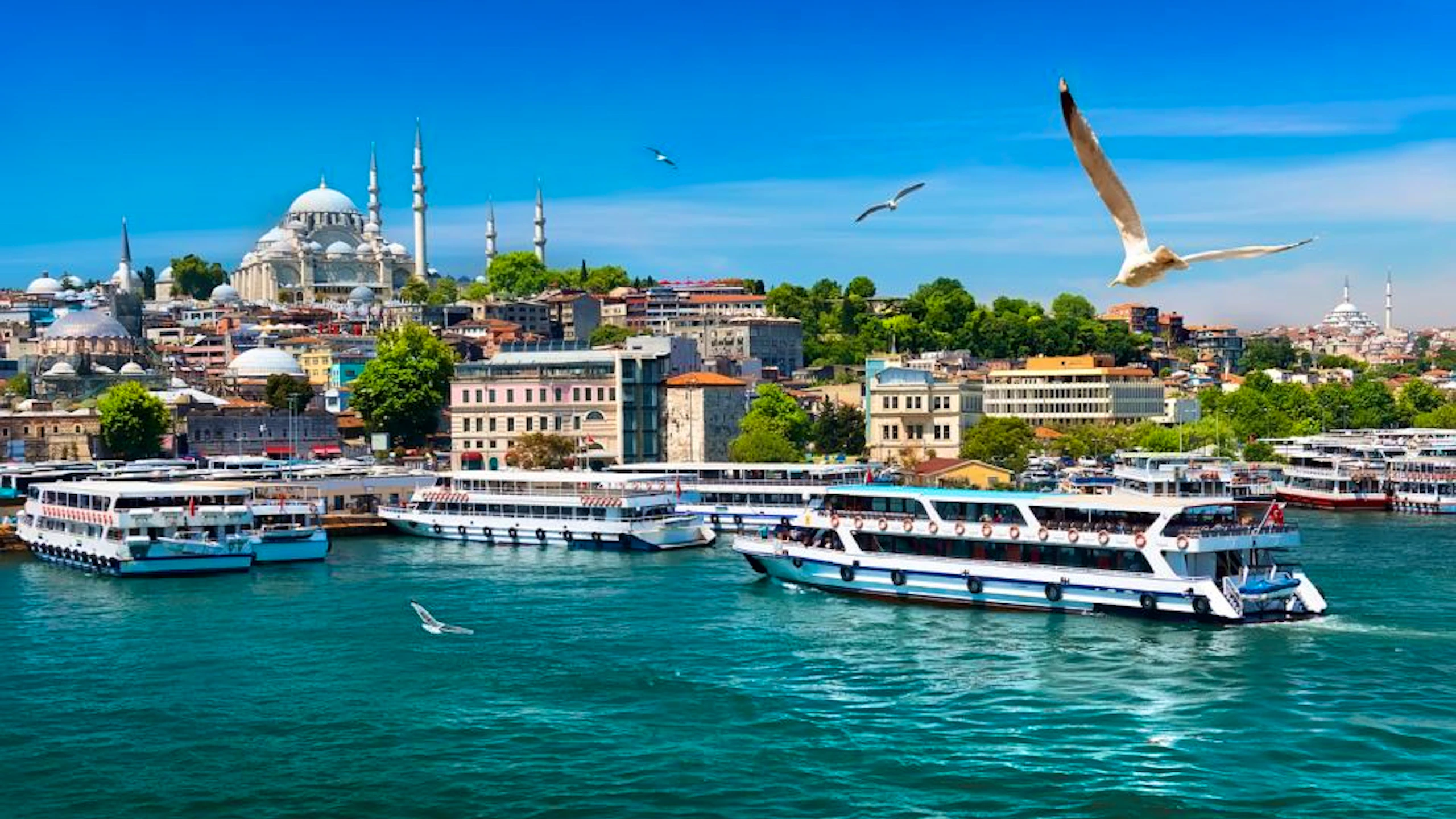Istanbul Bosphorus Cruise Tour, Bus and Cable Car Ride Location