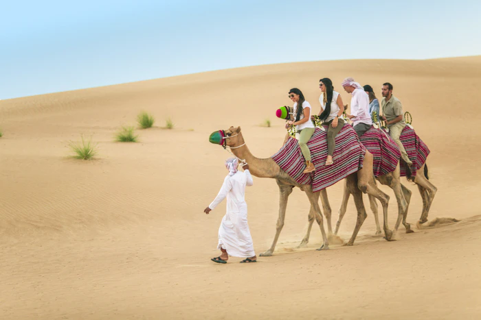Heritage Camel Safari Category