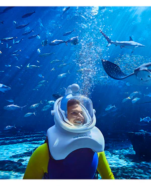 Atlantis Aquaventure Shark Snorkel 