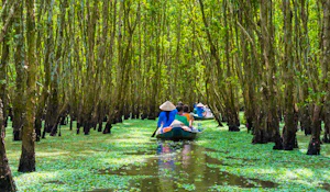 Cu Chi Tunnels & Mekong Delta Tour from Ho Chi Minh