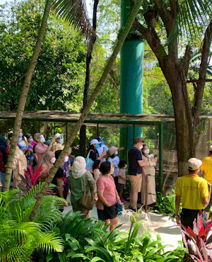 KL Bird Park Admission Ticket With One-Way Transfer